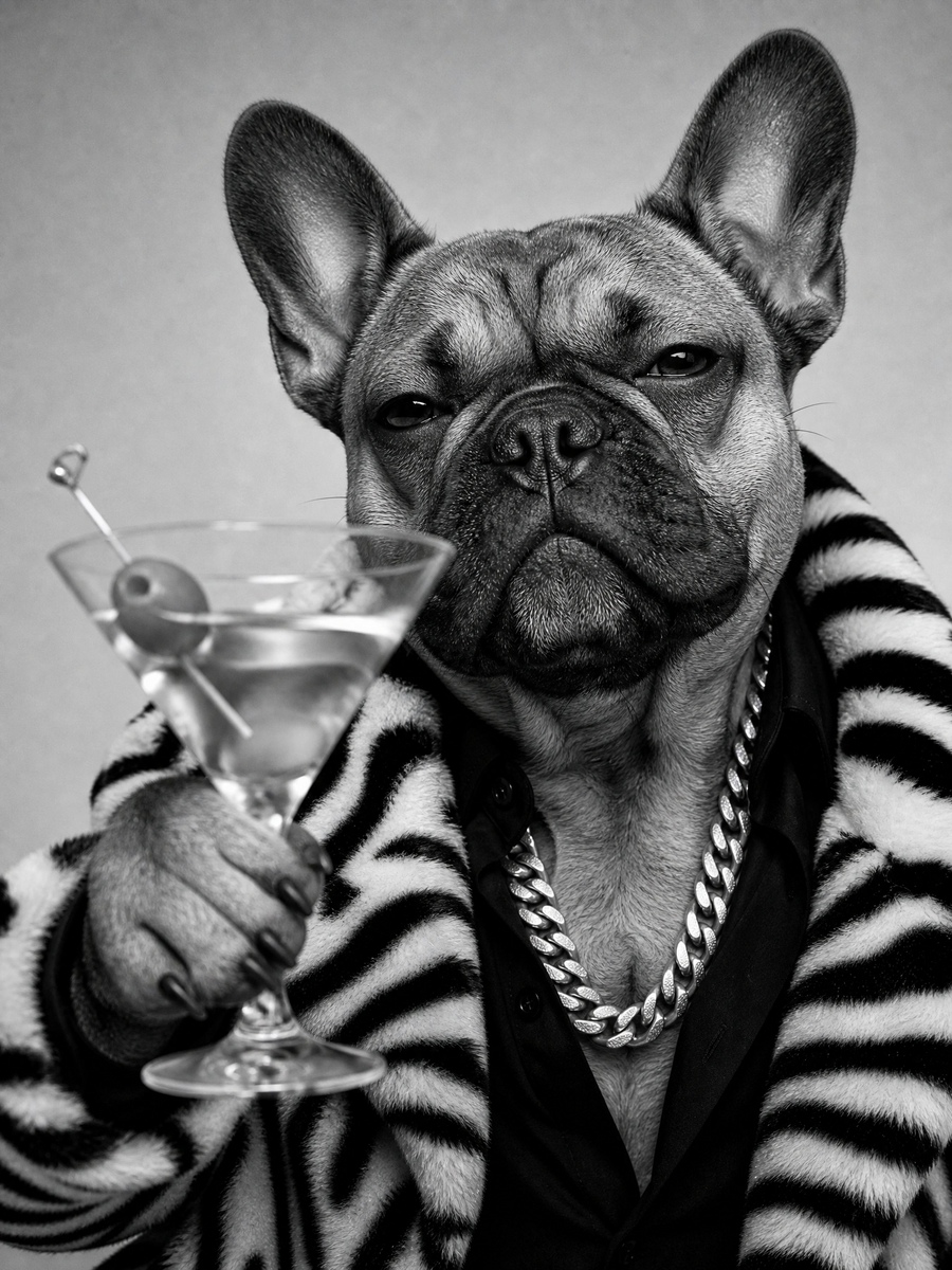 Top Dog