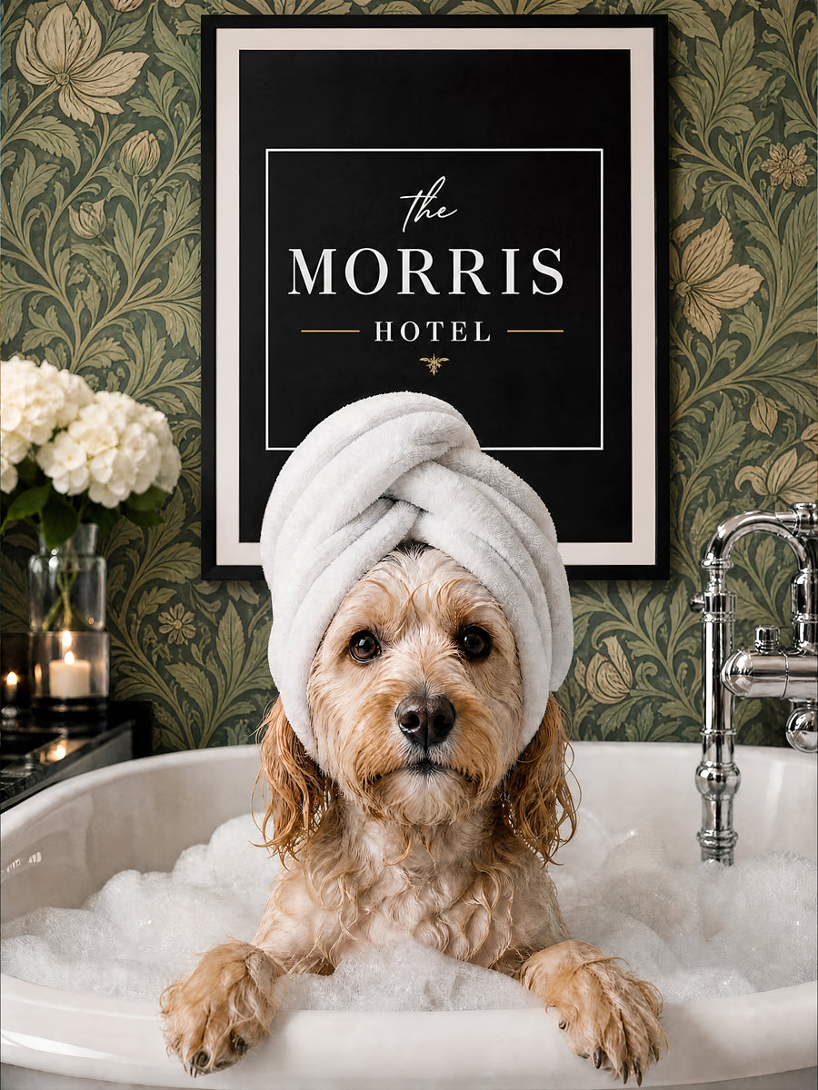 Doggie Hotel